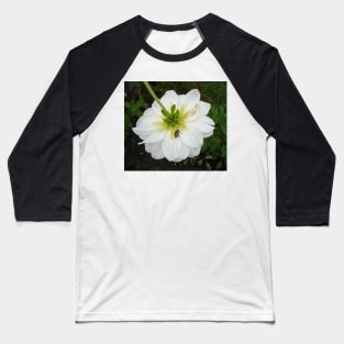 Flower and Bug Baseball T-Shirt